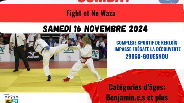 Stage du Pôle Jujitsu 29